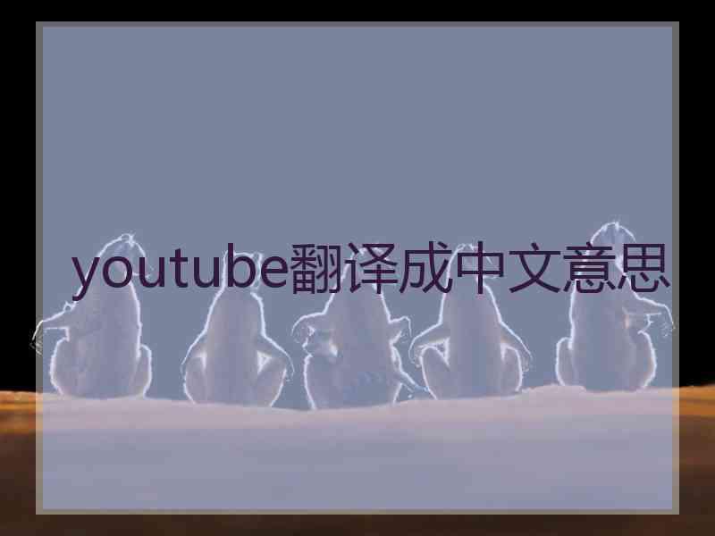 youtube翻译成中文意思