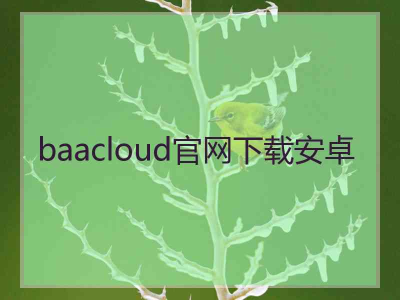 baacloud官网下载安卓