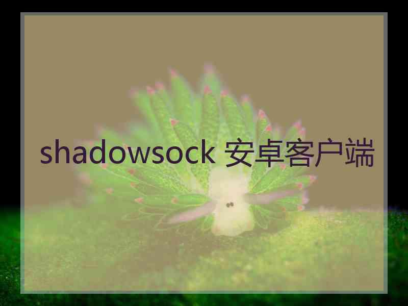 shadowsock 安卓客户端