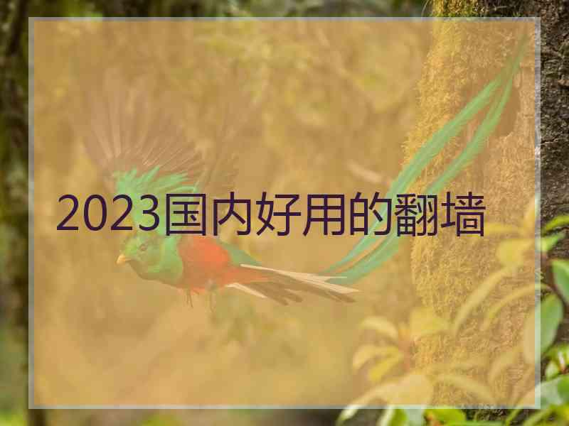 2023国内好用的翻墙