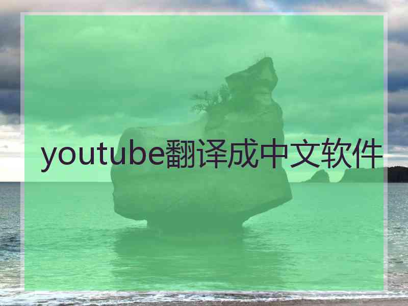 youtube翻译成中文软件