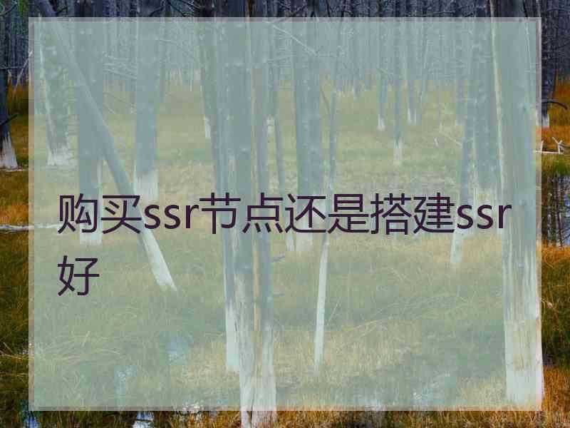 购买ssr节点还是搭建ssr好