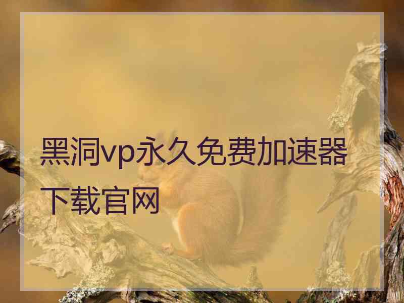 黑洞vp永久免费加速器下载官网