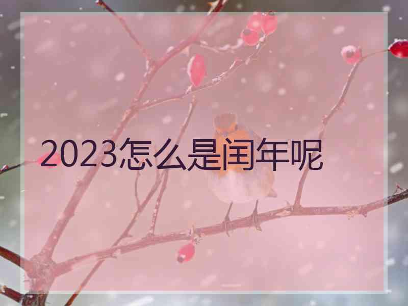 2023怎么是闰年呢