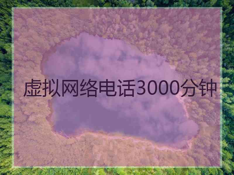 虚拟网络电话3000分钟