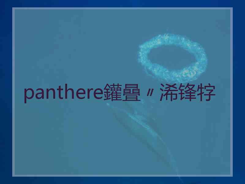 panthere鑵曡〃浠锋牸