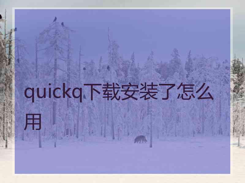 quickq下载安装了怎么用