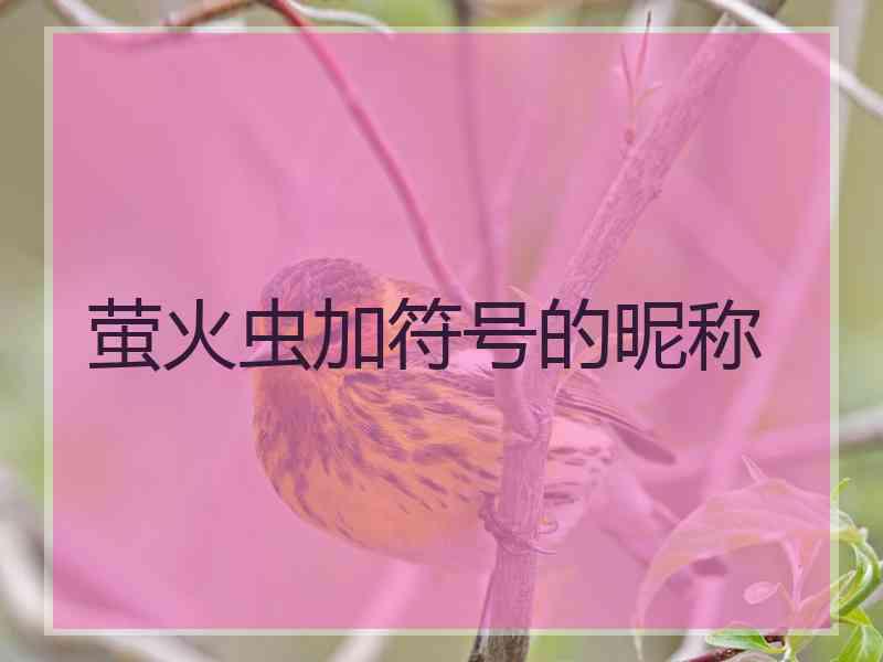 萤火虫加符号的昵称