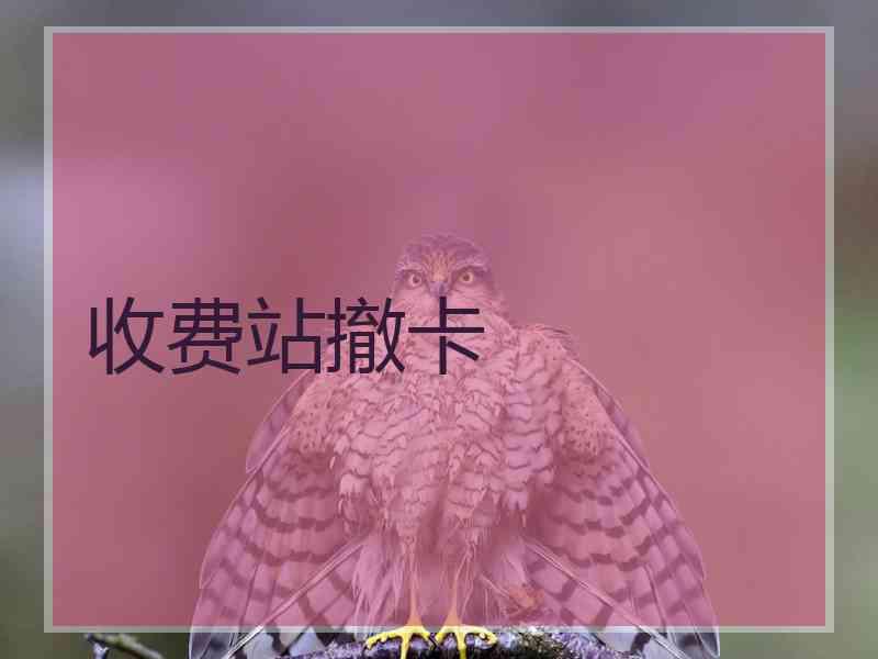 收费站撤卡