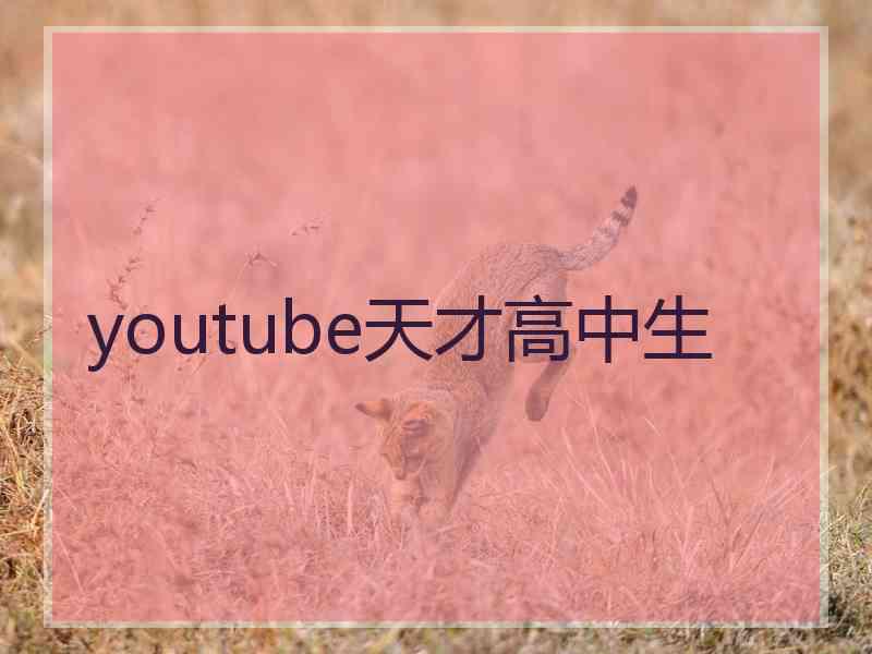 youtube天才高中生