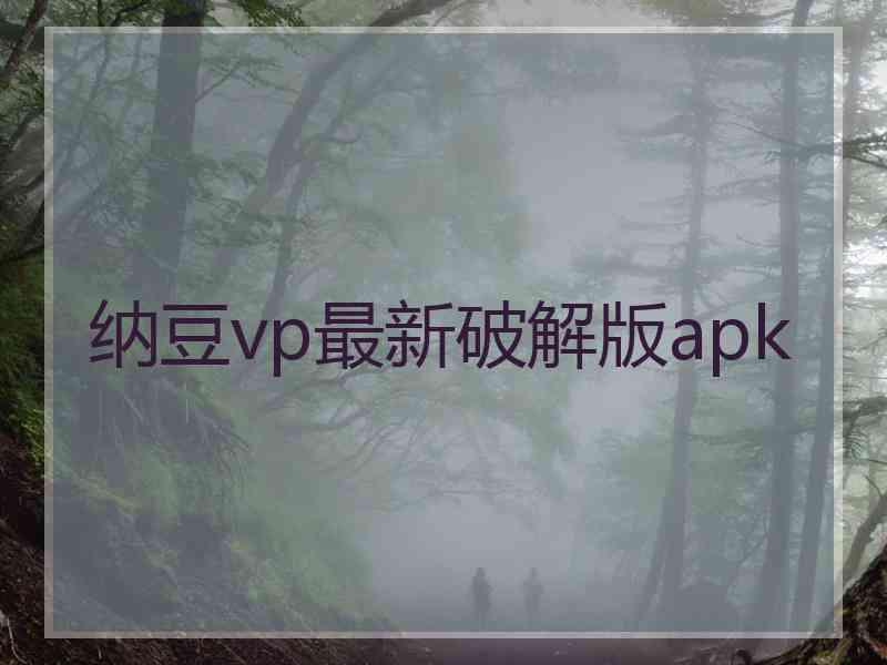 纳豆vp最新破解版apk