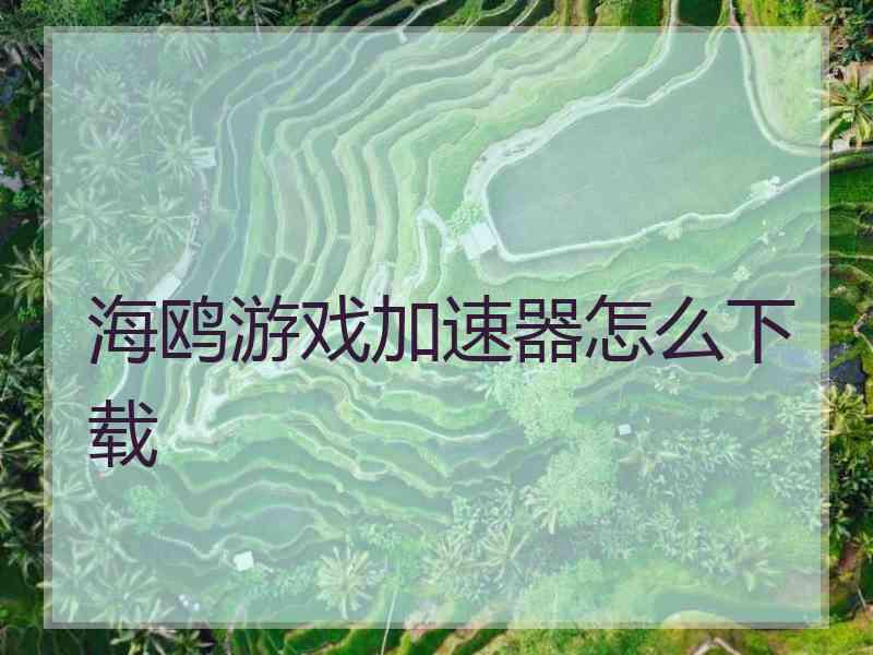 海鸥游戏加速器怎么下载