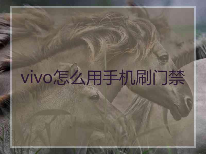 vivo怎么用手机刷门禁