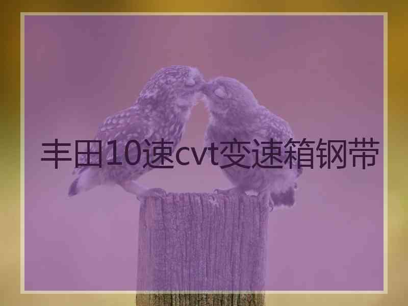 丰田10速cvt变速箱钢带