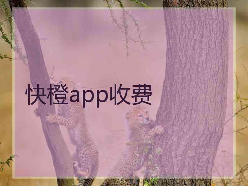 快橙app收费