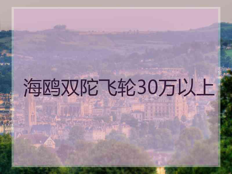 海鸥双陀飞轮30万以上