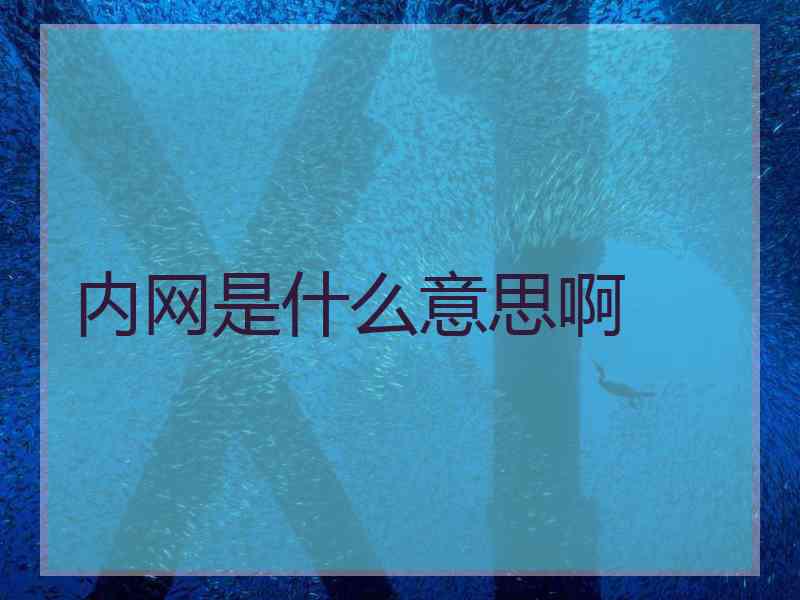 内网是什么意思啊