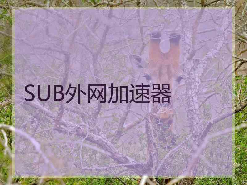 SUB外网加速器