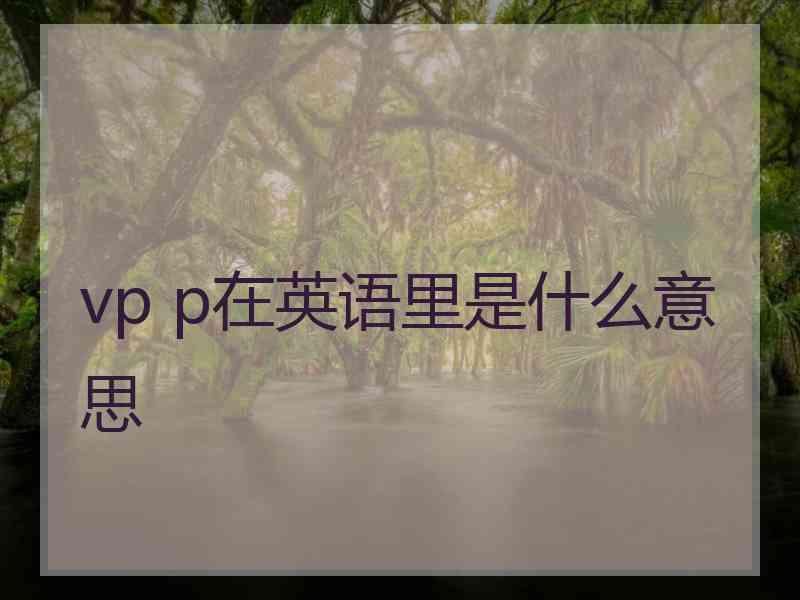 vp p在英语里是什么意思