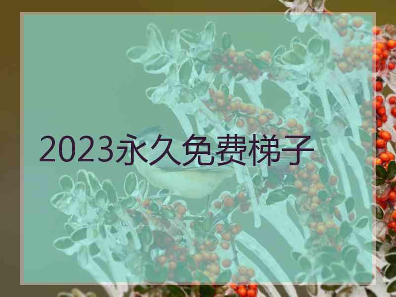 2023永久免费梯子