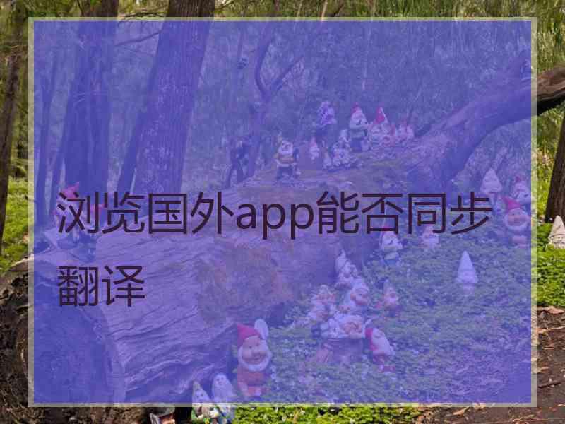 浏览国外app能否同步翻译