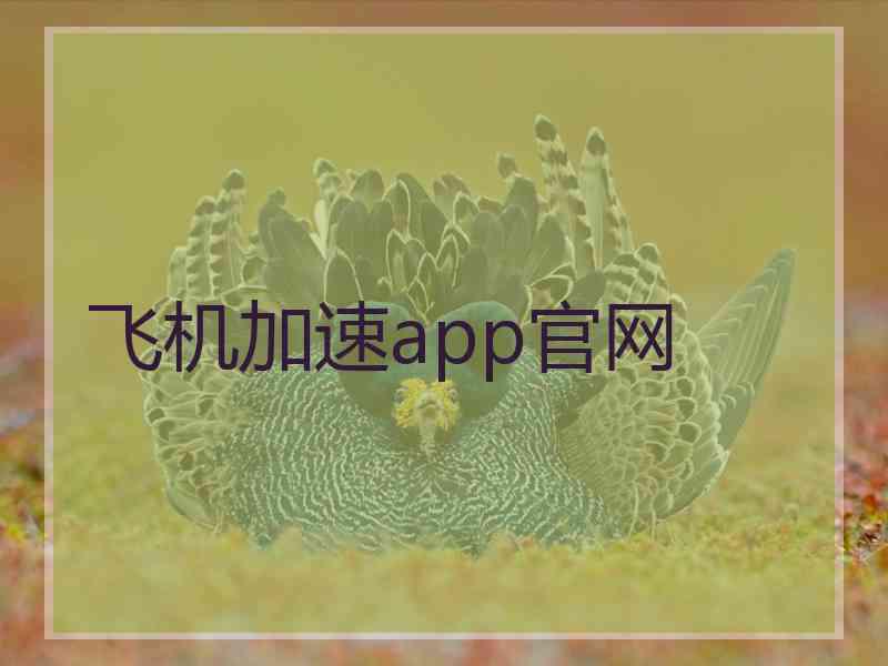 飞机加速app官网