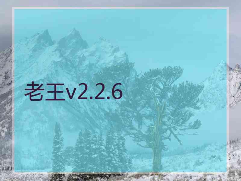 老王v2.2.6