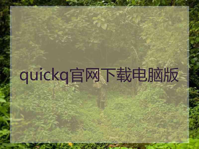 quickq官网下载电脑版