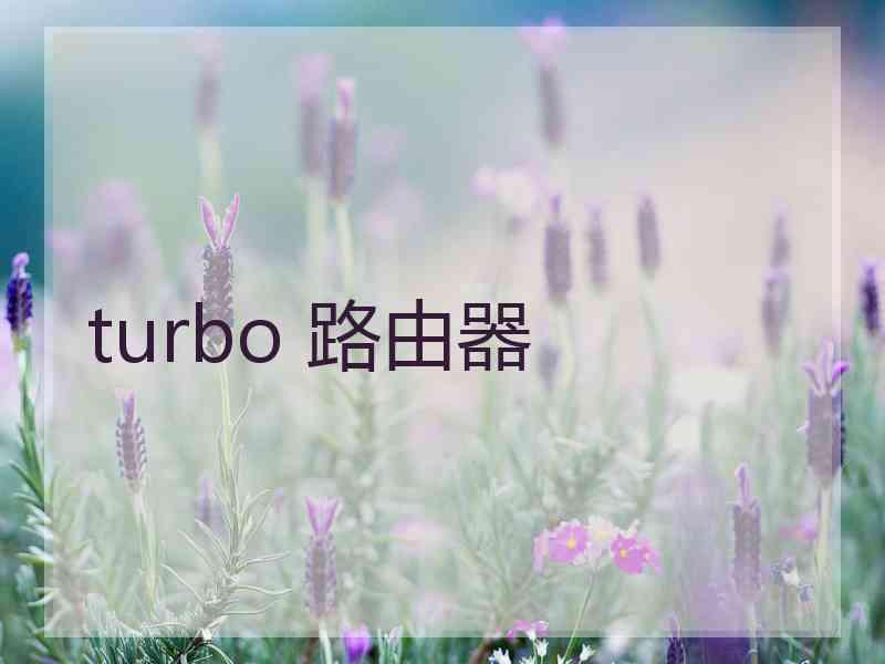 turbo 路由器