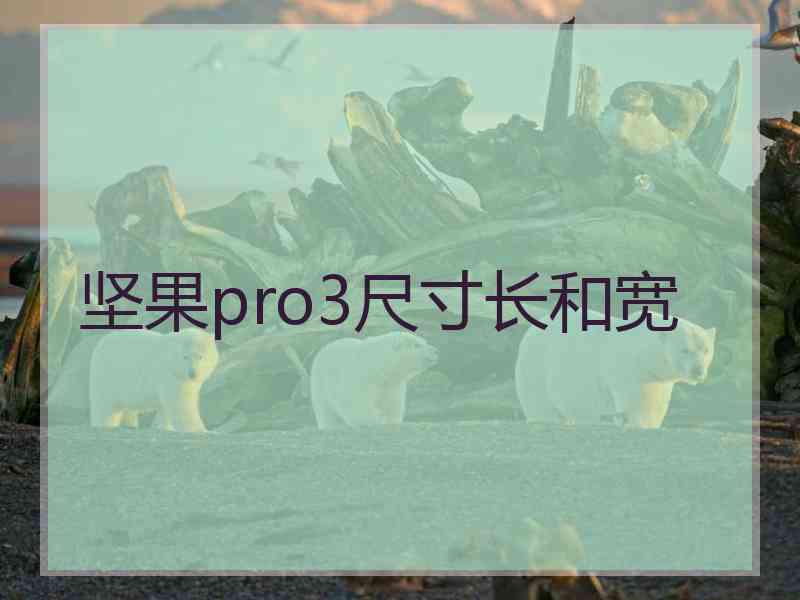 坚果pro3尺寸长和宽