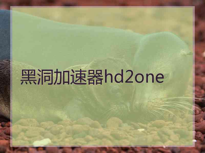 黑洞加速器hd2one