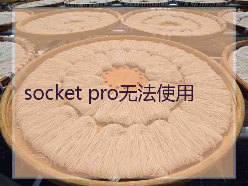 socket pro无法使用