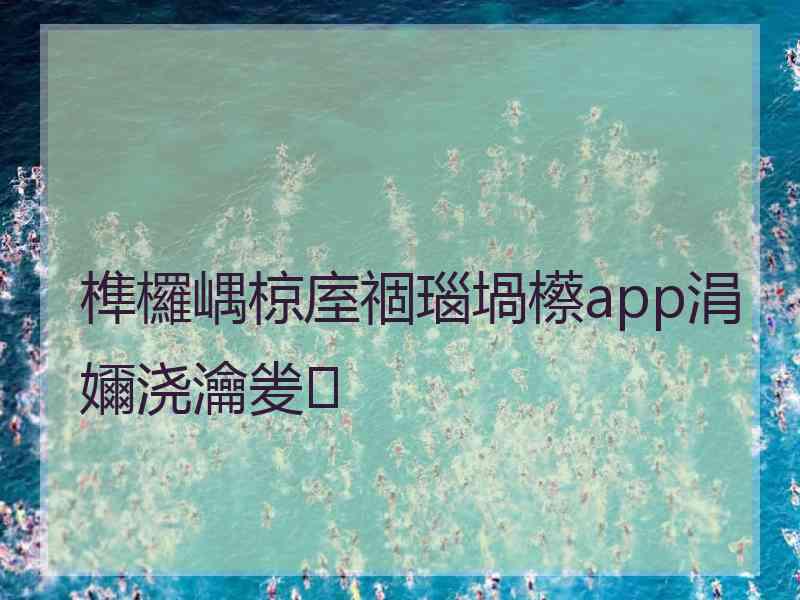 榫欏嵎椋庢祻瑙堝櫒app涓嬭浇瀹夎