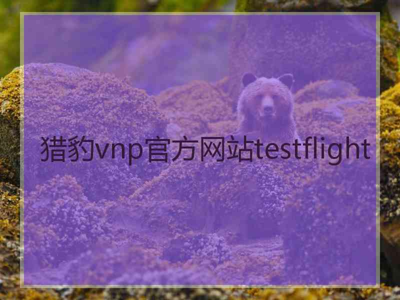 猎豹vnp官方网站testflight