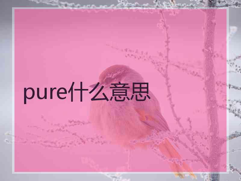 pure什么意思