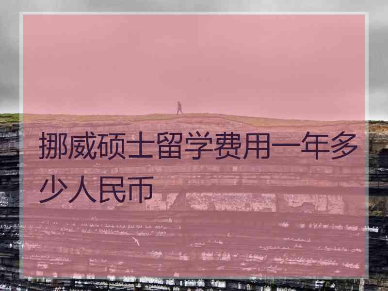 挪威硕士留学费用一年多少人民币