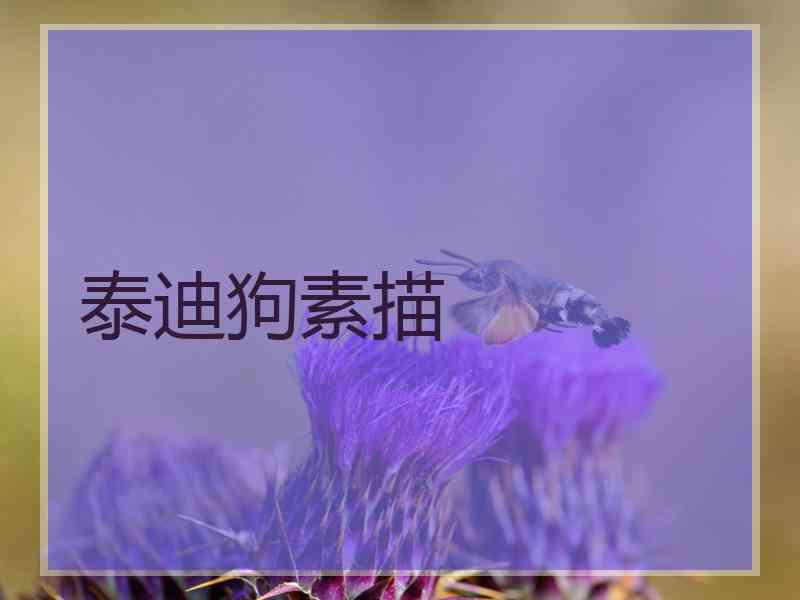 泰迪狗素描