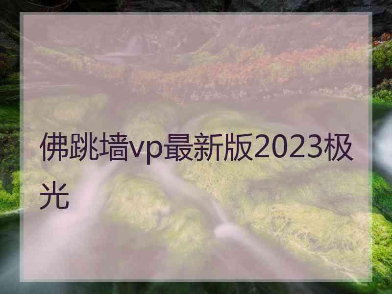 佛跳墙vp最新版2023极光