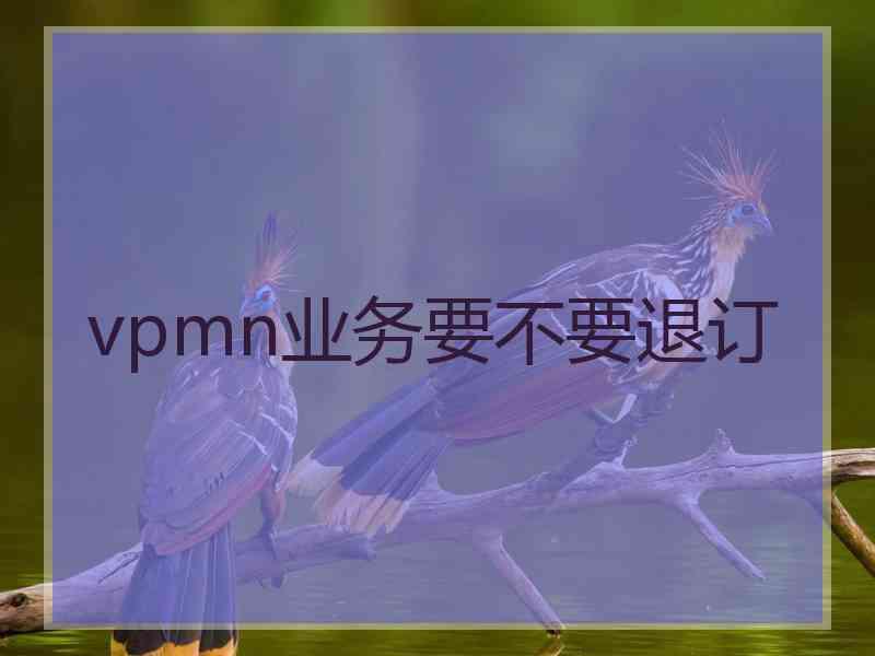 vpmn业务要不要退订