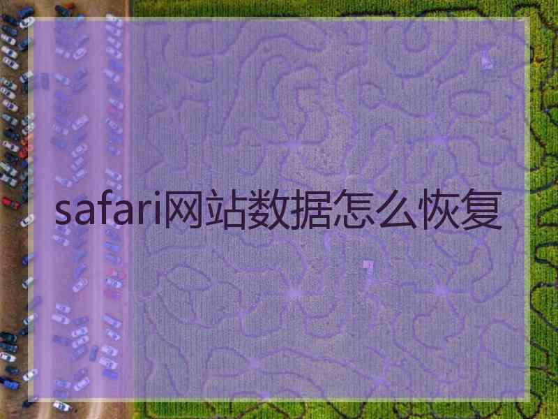 safari网站数据怎么恢复