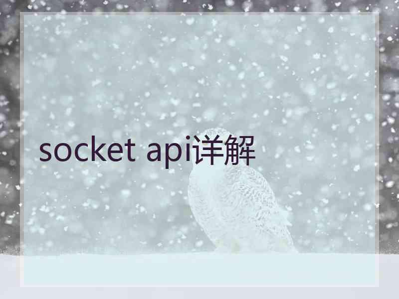 socket api详解