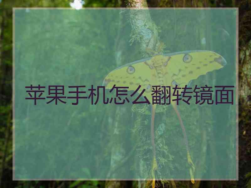 苹果手机怎么翻转镜面