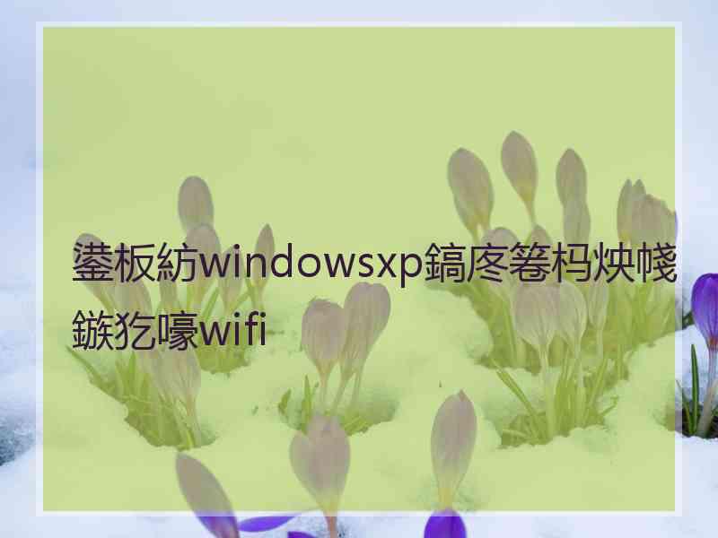 鍙板紡windowsxp鎬庝箞杩炴帴鏃犵嚎wifi