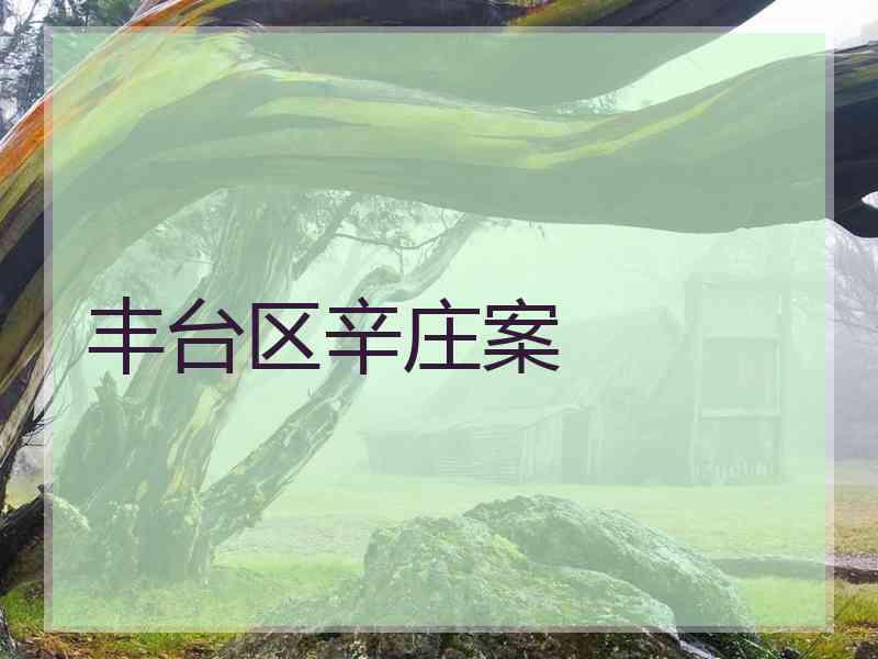 丰台区辛庄案