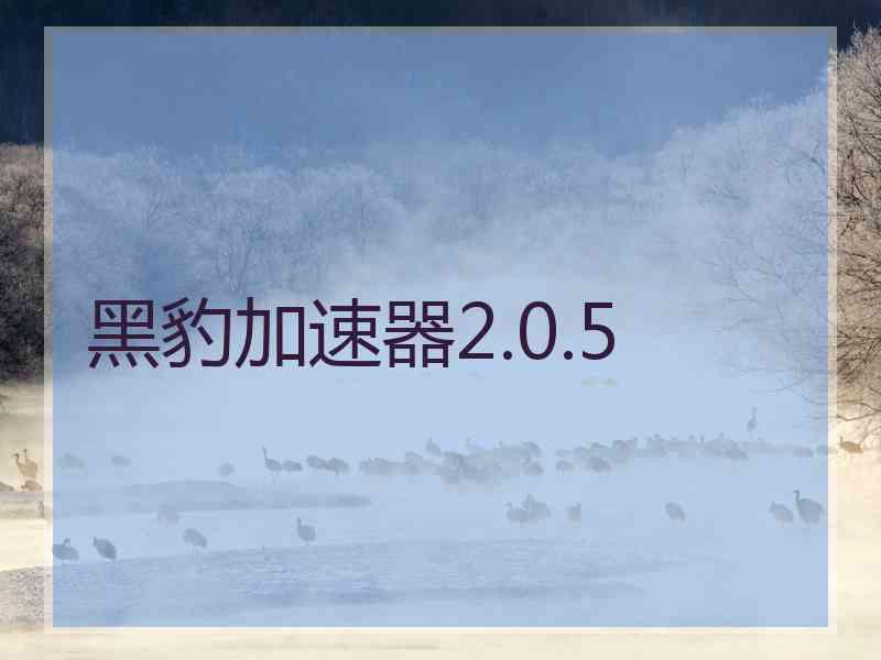 黑豹加速器2.0.5