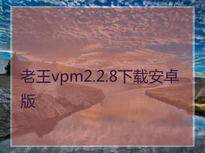 老王vpm2.2.8下载安卓版