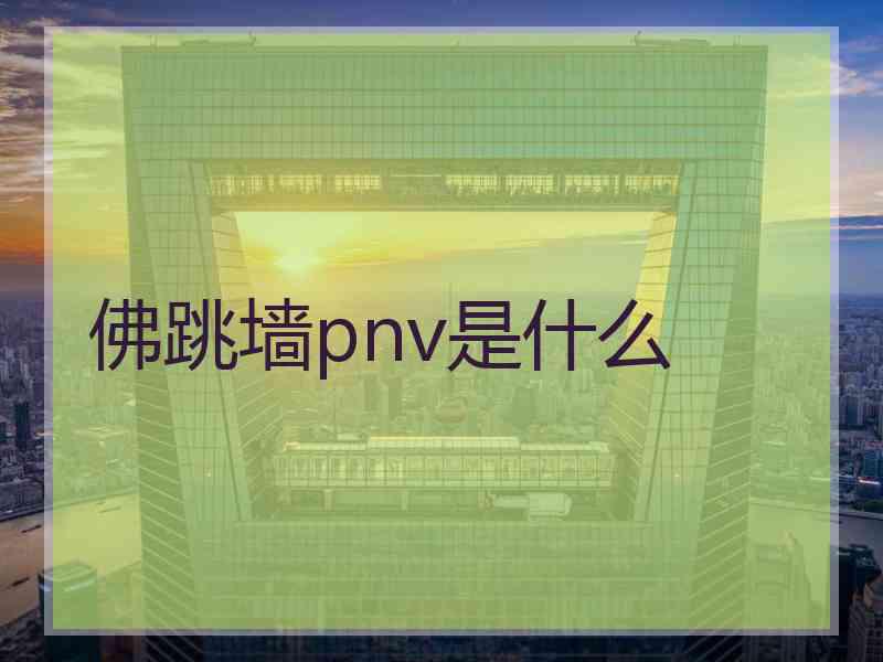 佛跳墙pnv是什么