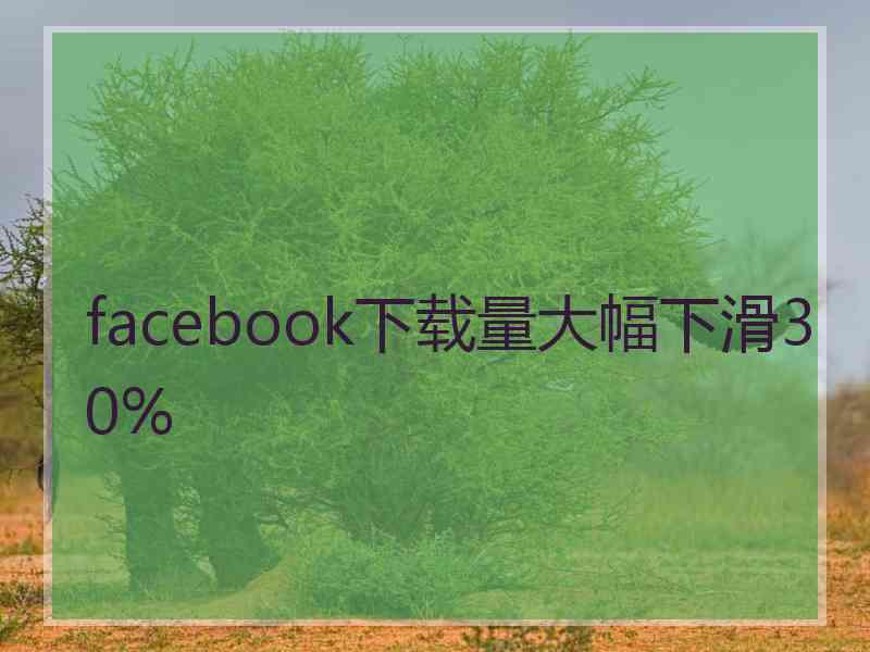 facebook下载量大幅下滑30%