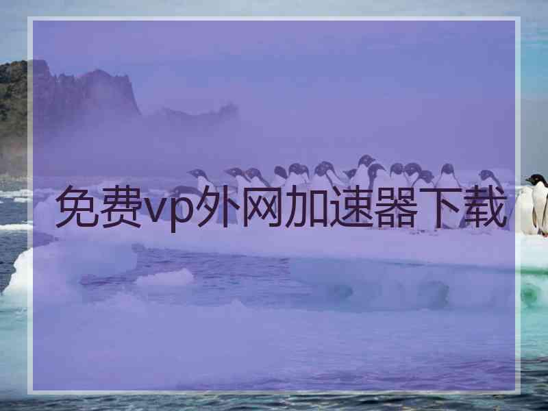 免费vp外网加速器下载