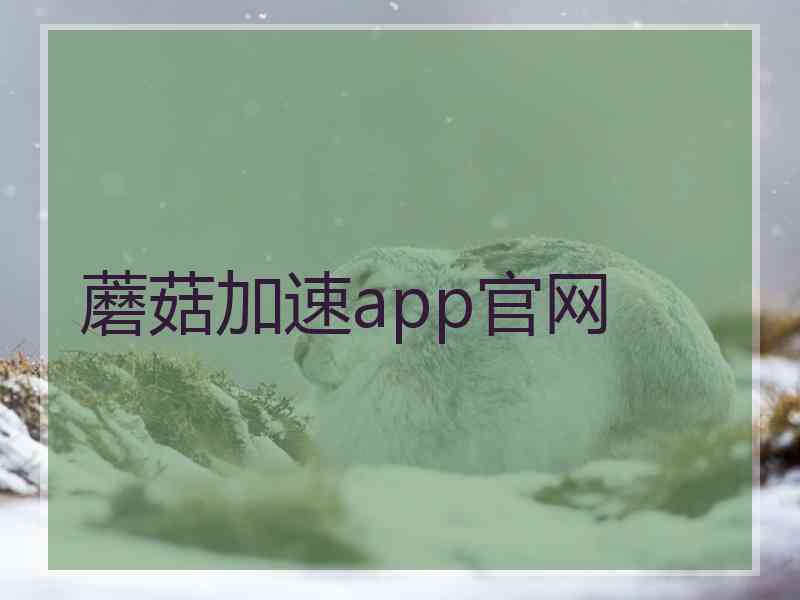 蘑菇加速app官网